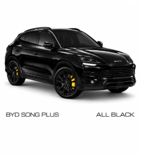 BYD Song Plus — material do Instagram Ladiv Detail